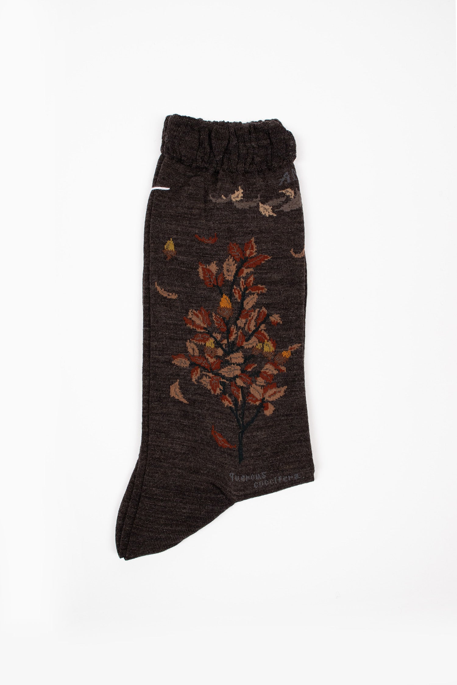 AM-806 Wind And Acorn Tree Socks Dark Brown